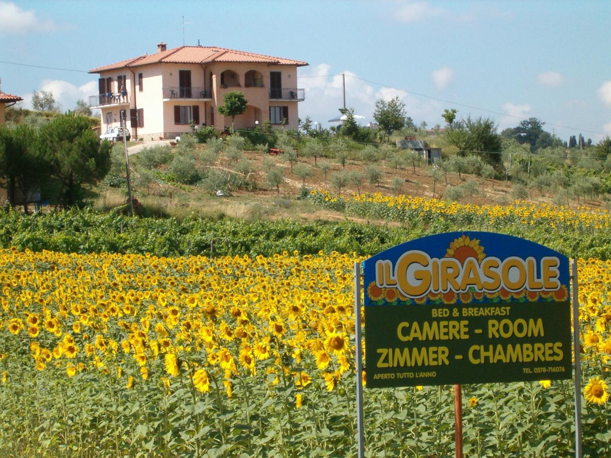 B&B Il Girasole - Rooms & House In Country - 1500 Meters From The City Montepulciano Stazione Exteriér fotografie