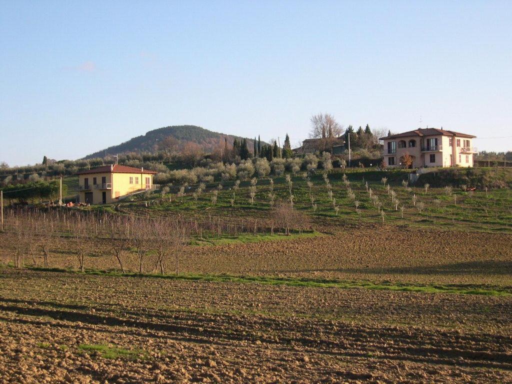 B&B Il Girasole - Rooms & House In Country - 1500 Meters From The City Montepulciano Stazione Exteriér fotografie