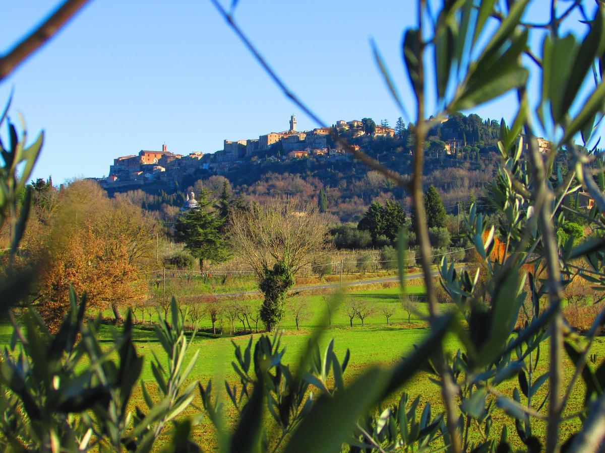 B&B Il Girasole - Rooms & House In Country - 1500 Meters From The City Montepulciano Stazione Exteriér fotografie
